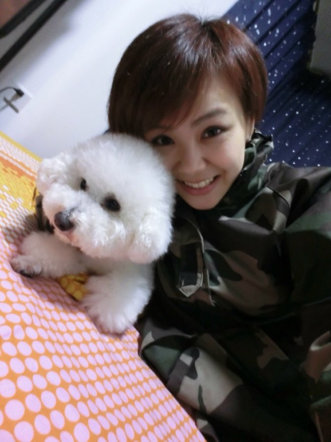 比熊犬口臭泪痕重吃什么药,比熊没有食欲铲屎官该怎么做