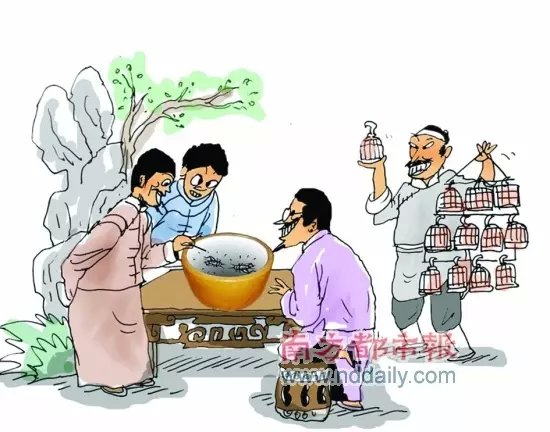 玩蟋蟀的诗词,玩蟋蟀要多少钱