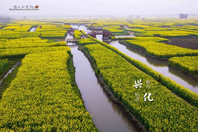 清明小长假出游提醒 (清明小长假微信消息)