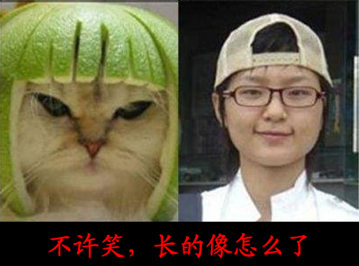 内涵段子，搞笑笑话：不许笑，长的像怎么了