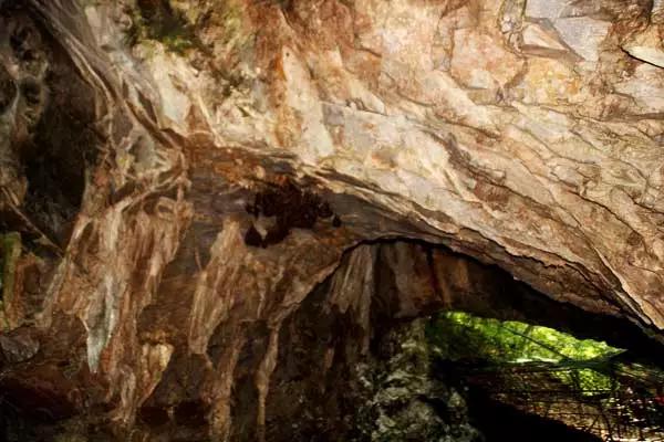 沐浴暖阳踏青,踏青走起