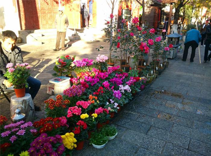 14道菜肴推荐,14道菜海鲜大餐