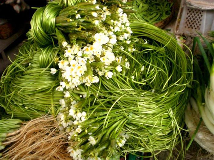 14道菜肴推荐,14道菜海鲜大餐