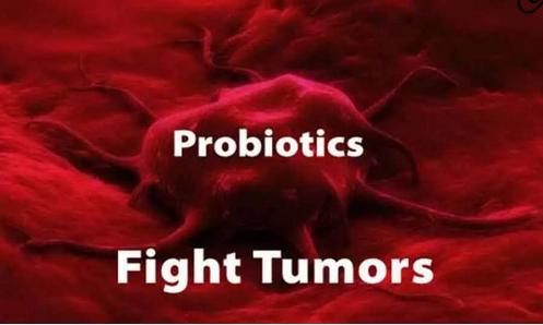 关于益生菌的4大真相,益生菌冷知识大全集