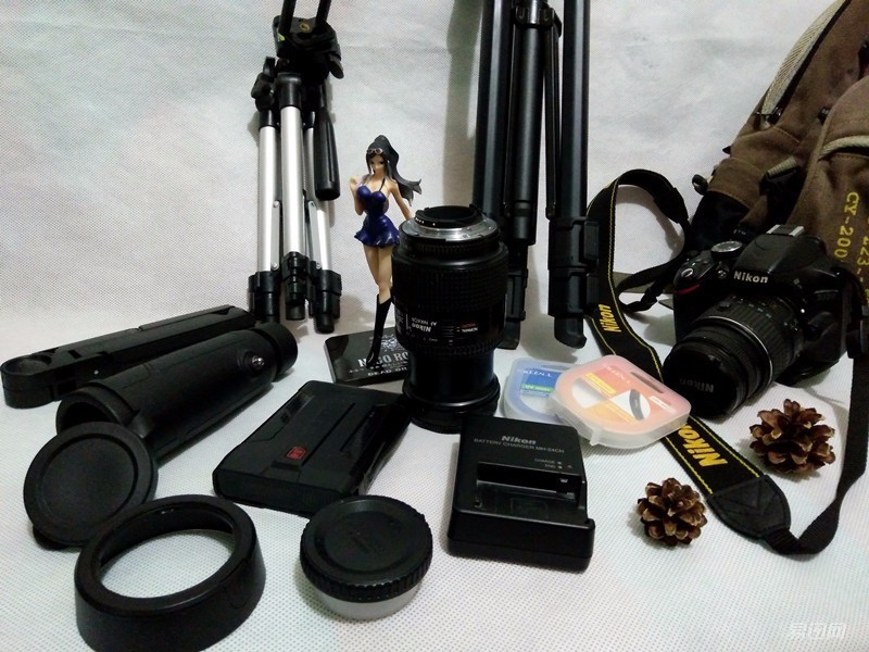 佳能尼康新手入门推荐,佳能尼康入门单反哪个好