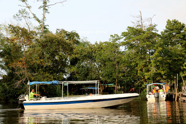 人生必需要有一次闺蜜游——沙巴五日游