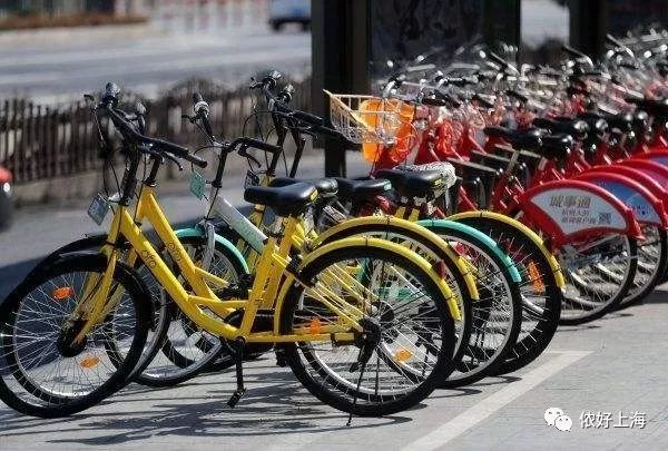 上海人的生存指南,上海生存100个小技巧