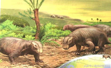 达尔文的进化论基本论点,达尔文生物进化论的四个论点