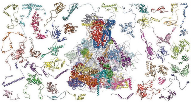 冷冻电镜哪年获得诺贝尔奖,最不务正业的科学家