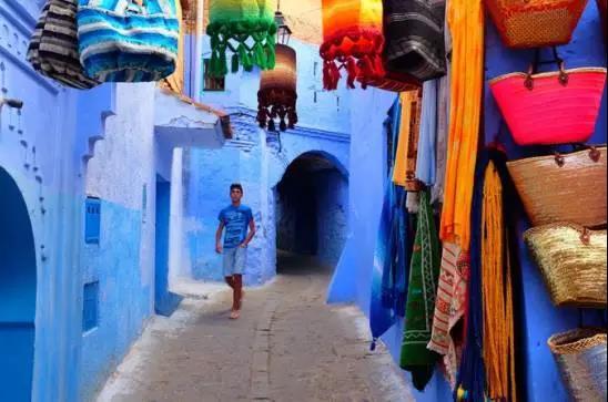 喵星人｜铲屎大大，发现一个超适合撸猫的地方……