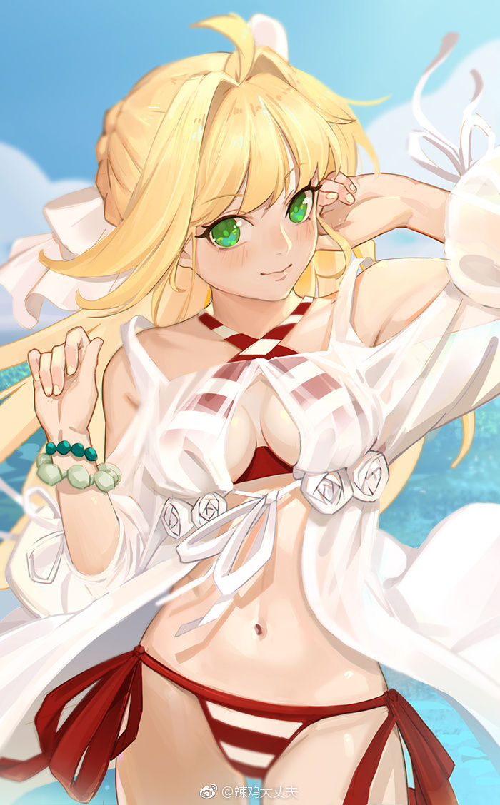 尼禄手绘fate,fate尼禄横向高清图片