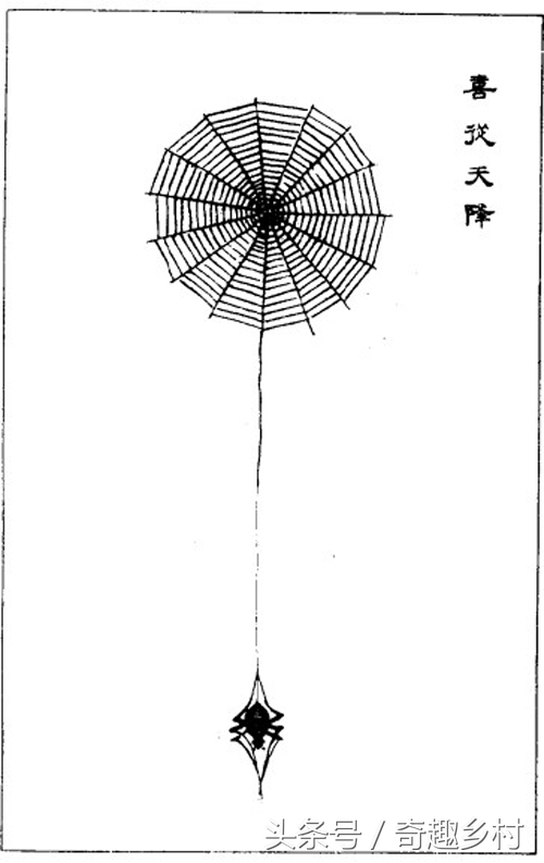 怎么判断蜘蛛有没有死,什么颜色的蜘蛛叫喜蛛
