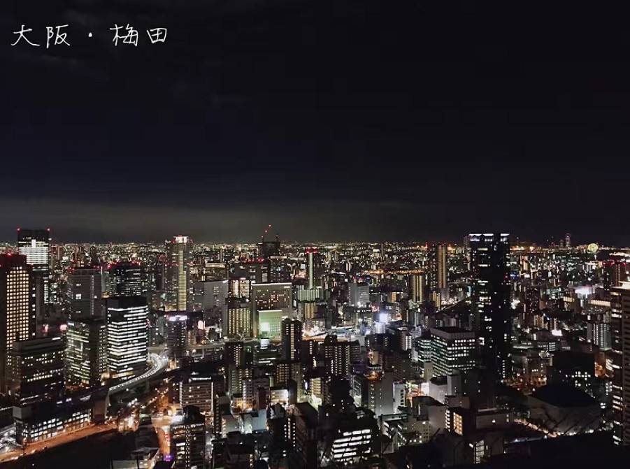 赴日本必买的东西,日本大阪六天自由行详细攻略