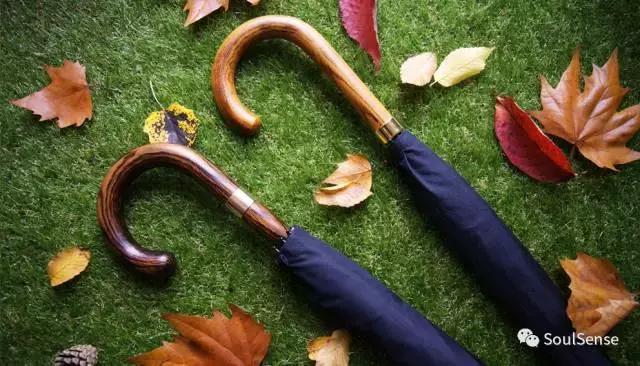 低调又不失奢华的雨伞,高档收藏雨伞