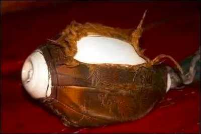 阿底峡尊者完整视频,聂当卓玛拉康与阿底峡尊者