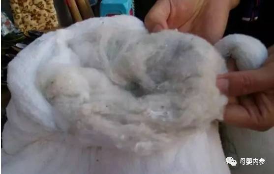 太便宜的棉衣，千万不要给孩子买！