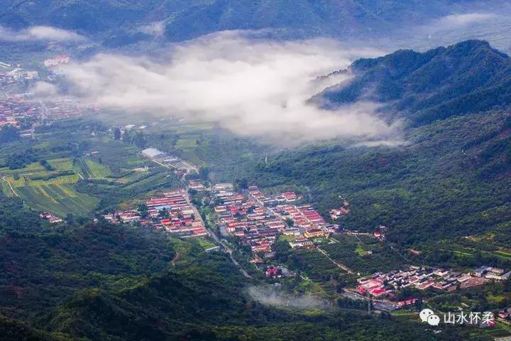 聚焦烟台黄渤海新区,聚焦烟台莱州辛庄