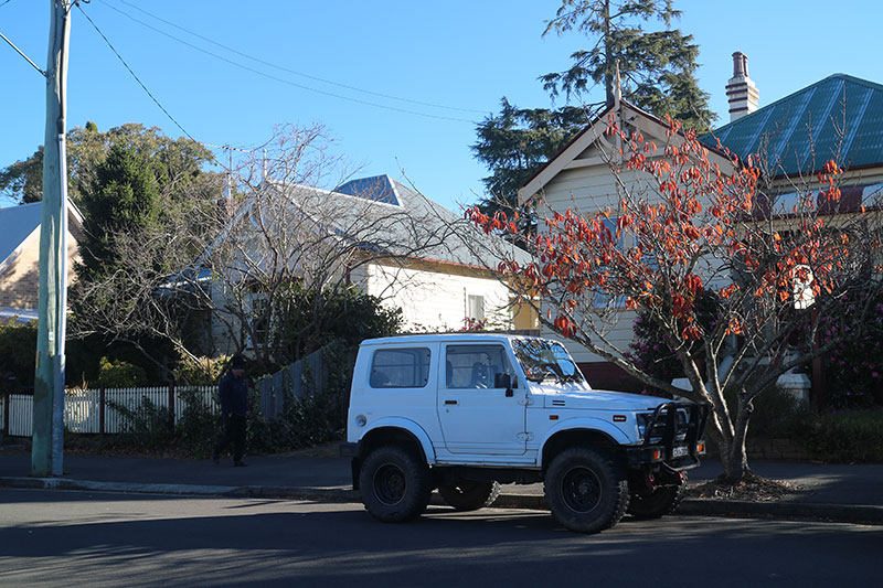 悉尼蓝山景点怎么样啊,悉尼蓝山一日游跟团