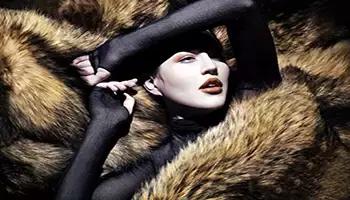 kc皮草和艾夫人皮草哪个牌子好,束兰皮草和kc皮草哪个好