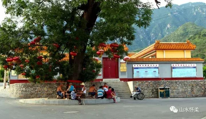 聚焦烟台黄渤海新区,聚焦烟台莱州辛庄