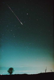 巧堕鬼胎——黄皮子「二十六」