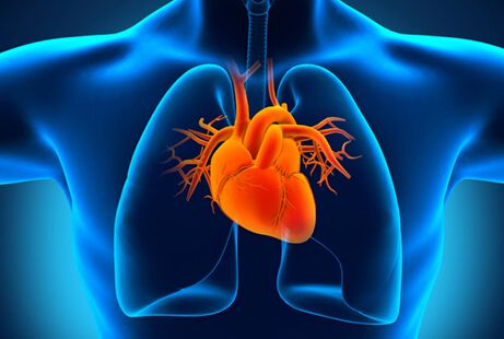 高钙高蛋白有什么帮助,补钙过多对心血管的危害