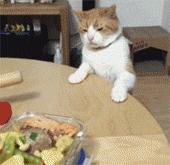 瀵圭尗鐨勮瑙ｅお娣变簡,甯︿綘鍏ㄩ潰浜嗚В姗樼尗