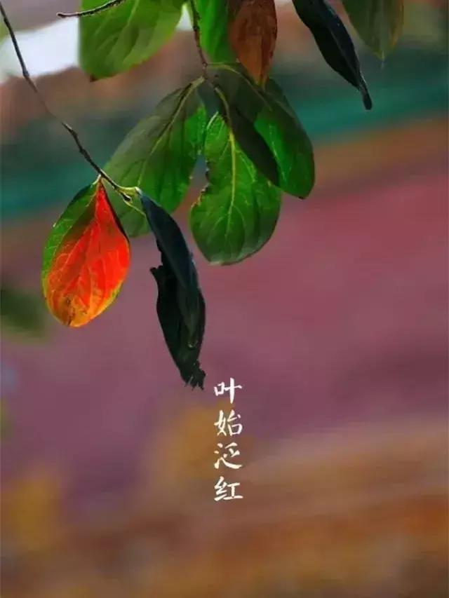 33首名作，尽现大唐荣耀289年