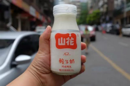 4种口味酸奶,最受欢迎的本地酸奶