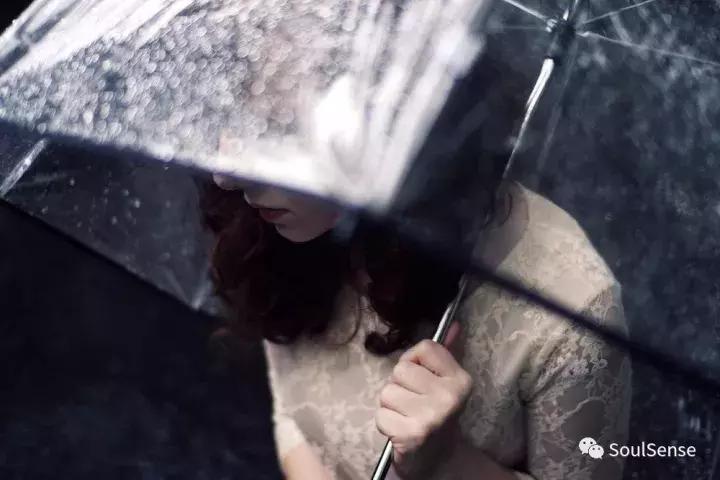 低调又不失奢华的雨伞,高档收藏雨伞