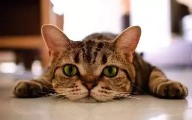 为什么你的工作这么惬意,不是工作太无趣而是你太被动