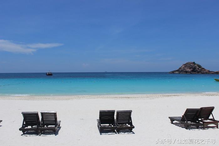 去兰卡威逗小鲨鱼，登嘉楼热浪岛浪一浪