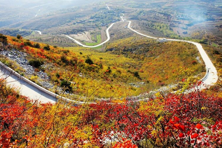 秋韵流过的晋城红