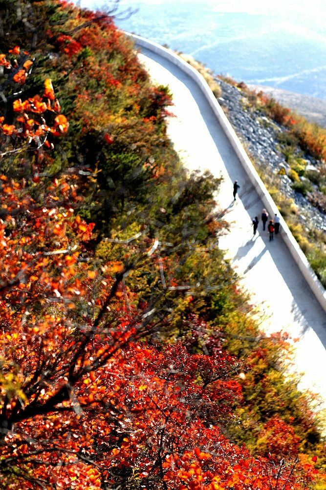 秋韵流过的晋城红