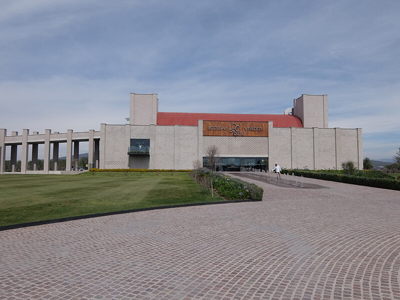 说起来你可能不信，比起龙舌兰和科罗娜，我更爱墨西哥葡萄酒！