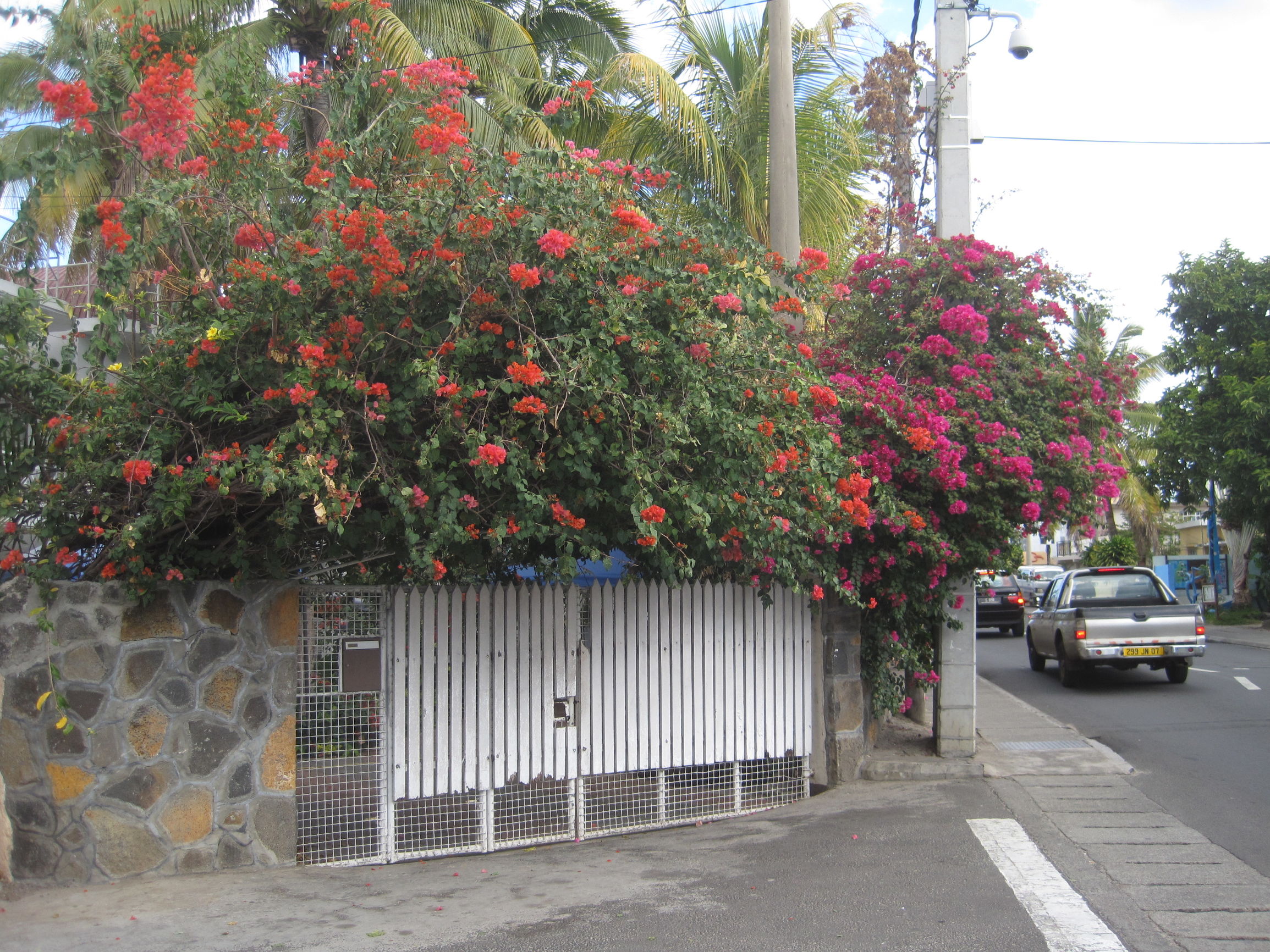 旅行毛里求斯,毛里求斯5天4夜游记