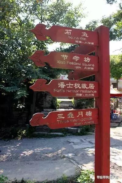 开着房车去遛娃,开着房车带狗狗出去玩