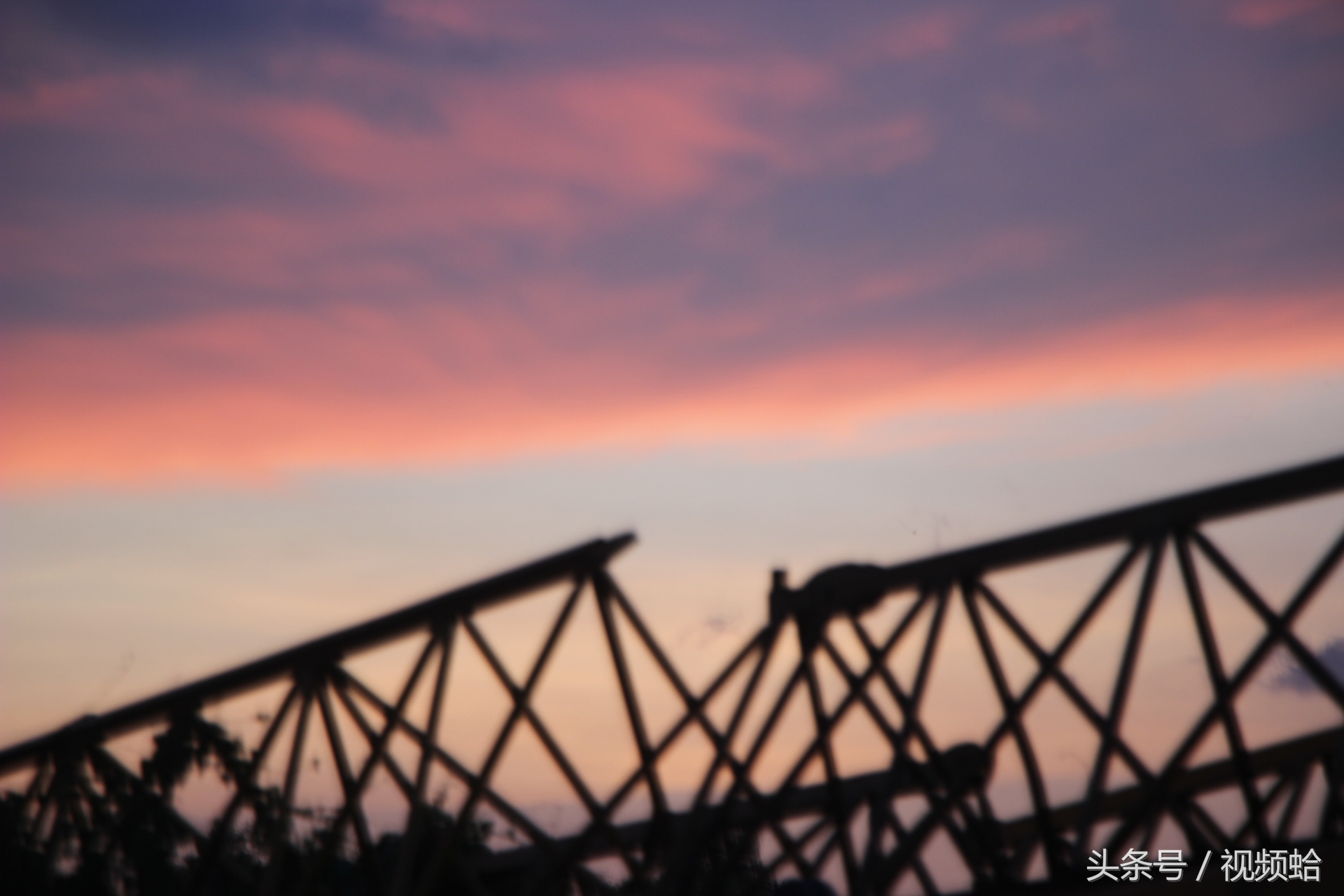 那一年花好月圆，爱若成佛恨必成魔之湛江雷州《石狗传》结局