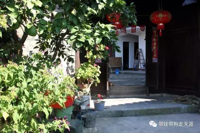 开着房车去遛娃,开着房车带狗狗出去玩