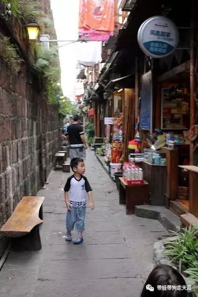 开着房车去遛娃,开着房车带狗狗出去玩