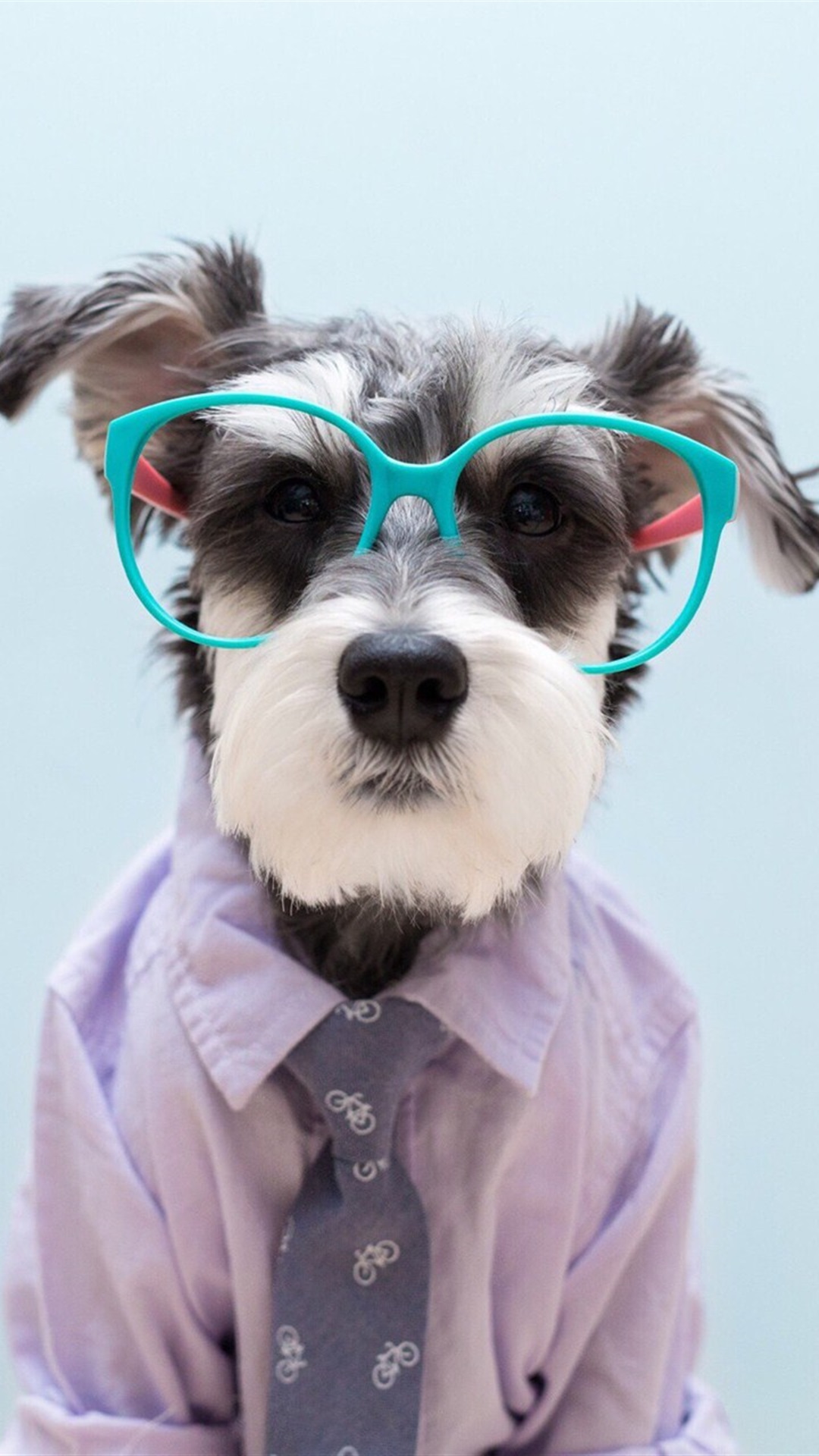 唯美1080×1920P高清壁纸锁屏画面待机背景图！请在wifi环境查看