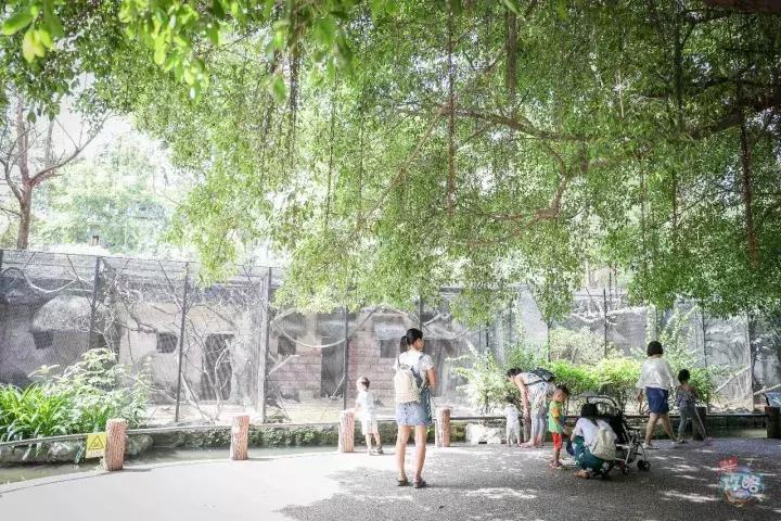 广州动物园的地图,广州动物园下一站去哪里