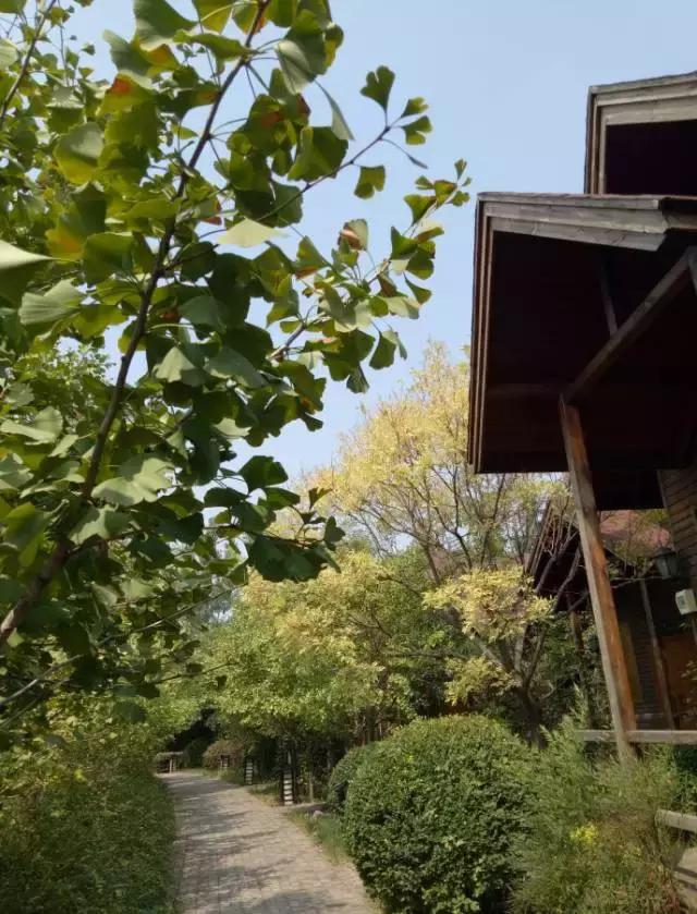 洛龙区银杏帝都温泉地址,洛阳银杏帝都温泉