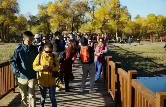 阿拉善旅游收入,五一假期阿拉善旅游总收入