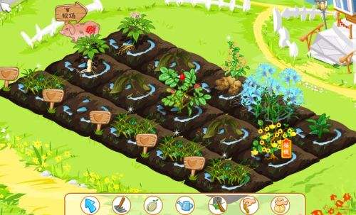 类“偷菜”游戏中的传销*局骗**：涉嫌非法吸收公众存款