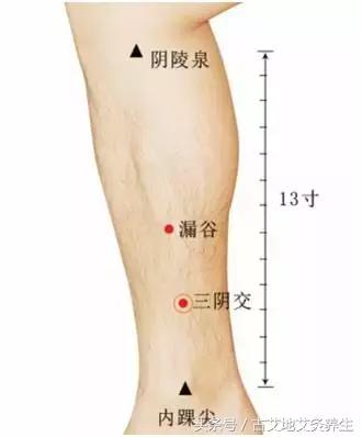肝郁化火脾虚湿热下注怎么调理,下半身湿热是阳虚还是阴虚