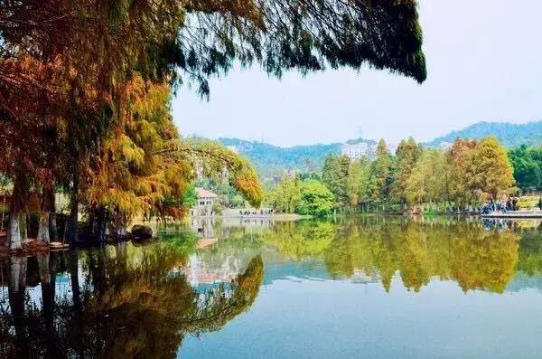 去厦门旅游自由行攻略图,超级详细厦门旅游攻略