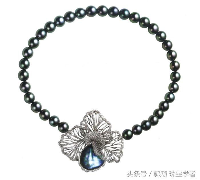 娴锋磱閲岀殑鍚勭缇庡懗铻冭煿,灏忕簿鐏靛悆铻冭煿