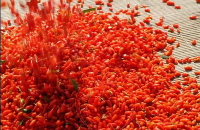 家里枸杞放潮了怎么办,家里枸杞受潮怎么烘干