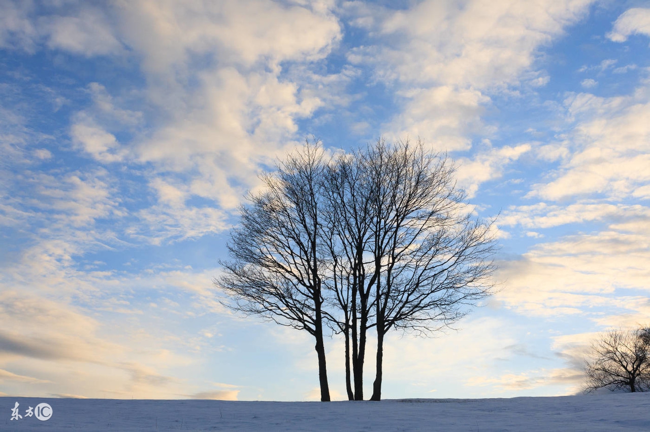 人生必读100句经典句子,二十个励志句子